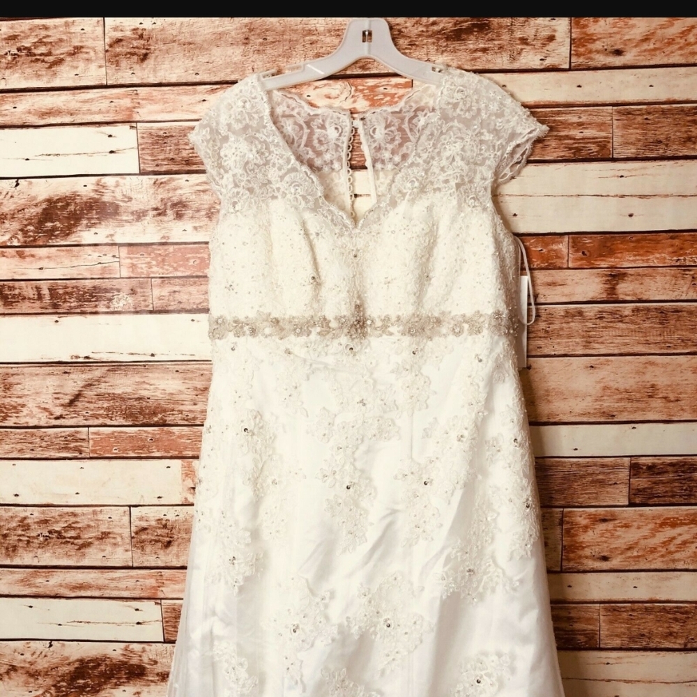 DavidsBridal  wedding dress sz 24W, sequins pearls